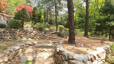 Photos of Suri - san Holy Land
