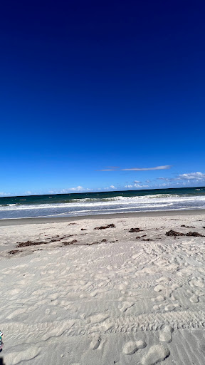 Brevard Barrier Island Reef at Pelican Beach Park 28.168561, -80.584314 - Thumbnail