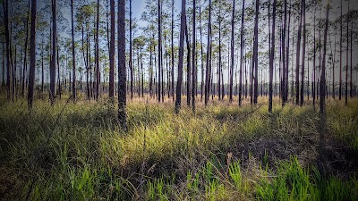 Big Branch Marsh National Wildlife Refuge