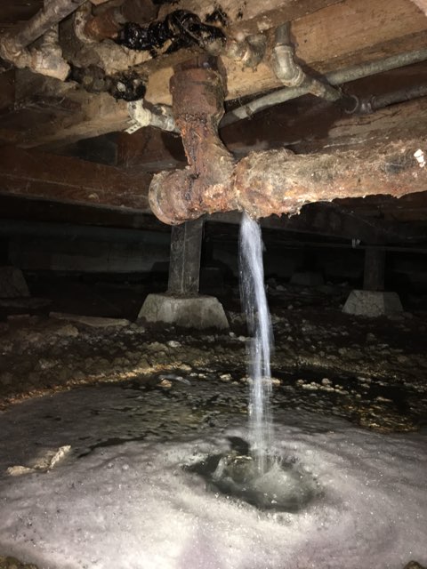 The Water Damage Experts, Incorporated photo