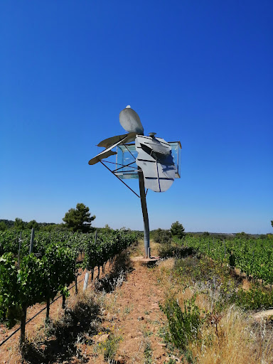 La llum planant damunt la terra (Esteve Casanoves)