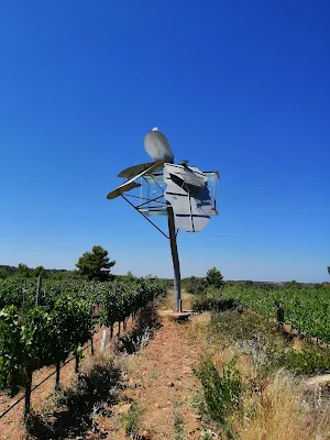 La llum planant damunt la terra (Esteve Casanoves)