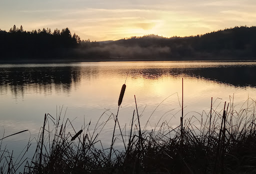 Grants Pass Mobile Home Park - Thumbnail