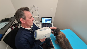 Photo n°5 de Cabinet Vétérinaire MadeleineVet - D.THERON, Dr Vétérinaire à Paris (Clinique vétérinaire)