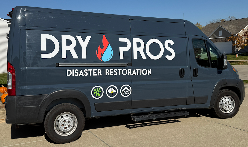 Dry Pros photo
