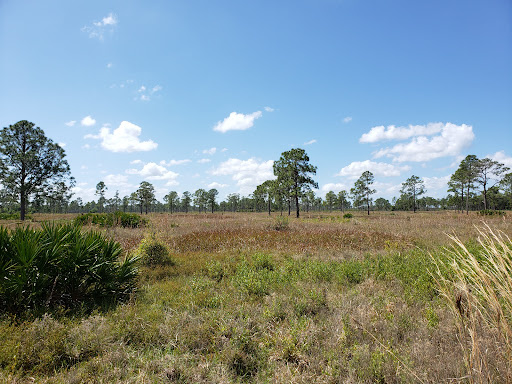 Lake Wales Ridge Wildlife and Environmental Area - Royce - United States