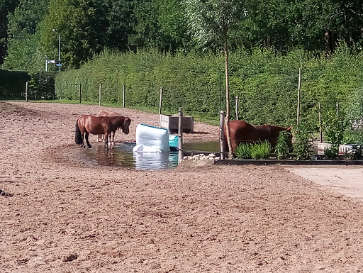 Landgoed Sonnevelt Gallery - Netherlands