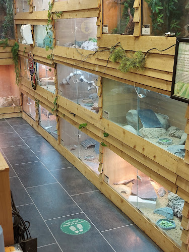Comments and reviews of Southampton Reptile