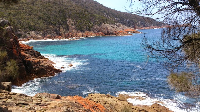 Tasmanie