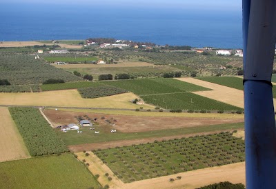 Associazione Sportiva Volo Vasto