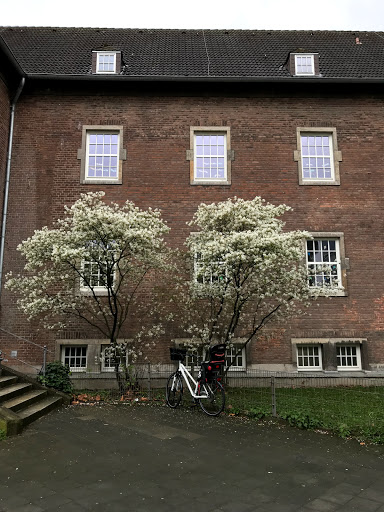 Don-Bosco-Schule Städt.Gem.Grundschule
