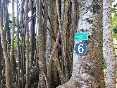 Wahiawā District Park