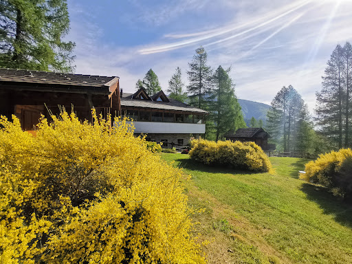 YolkiPalki CAMPING VILLAGE