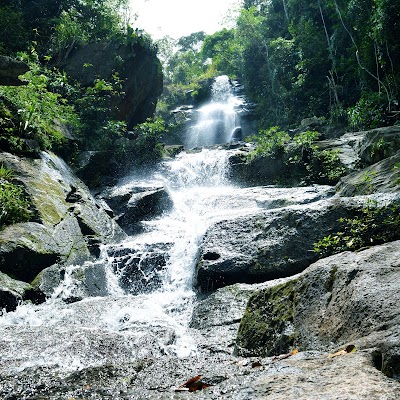 Photos of Mayflower Bocawina National Park