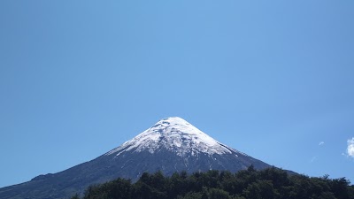 Photos of Camping Playa Petrohue (CONAF)