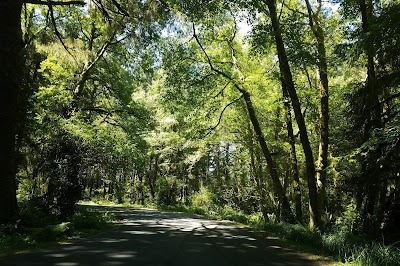 Smith Lake County Park