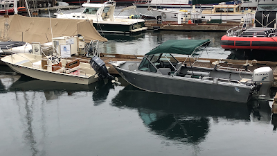 Friday Harbor Boat Rentals