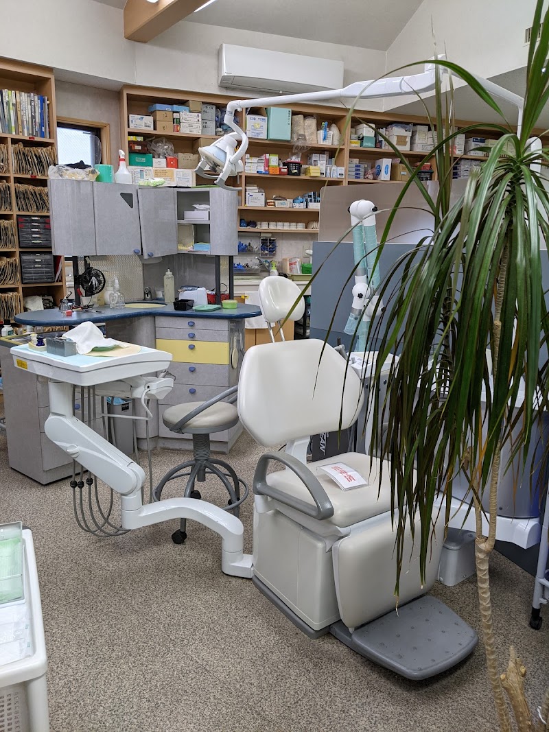 医療法人 木本歯科医院