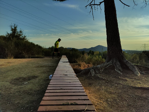 Parc Ca N'Alzamora - Thumbnail