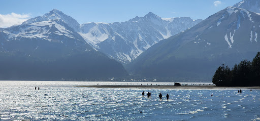 Afognak Beach Parking - Thumbnail