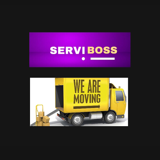 SERVIBOSS - Visual