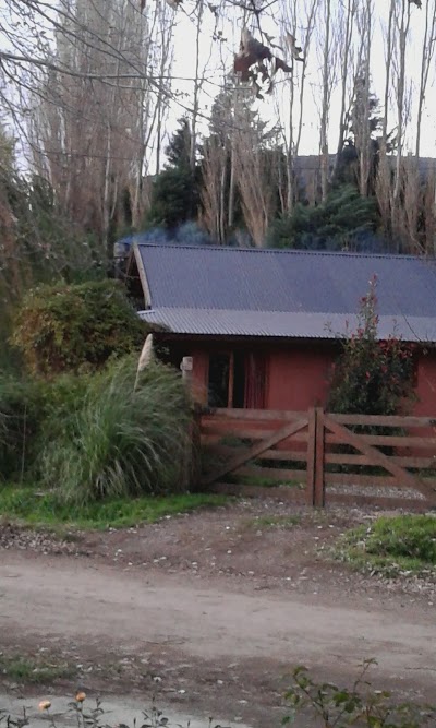 real-estate-agency