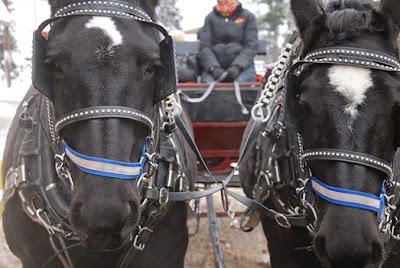 Photos of Western Connection Ranch