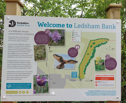 Ledsham Bank nature reserve - Thumbnail