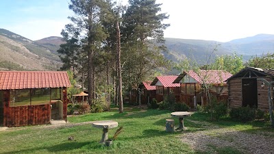 Photos of Sadabad Forest Park