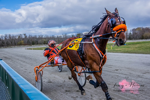 Northside Downs - Visual