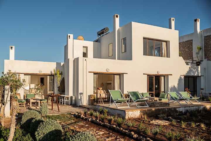 La Mouette et les Dromadaires by null