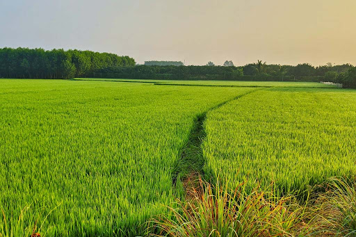 Discover the ideal property with Comfort Property, your premier destination for a comprehensive r…