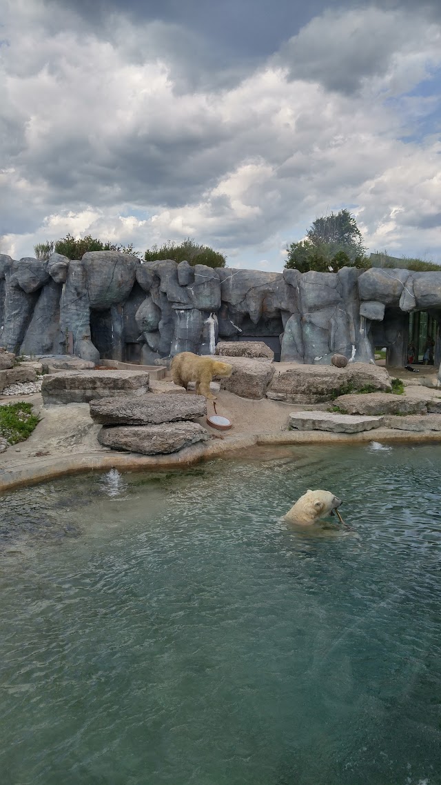 Toronto Zoo