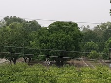 Sial Chowk Bus Stop bahawalpur