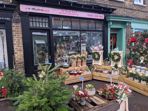 Flowers Of Bexley