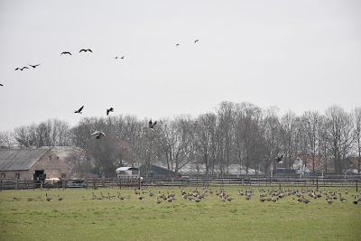 Toegang Bemmelse Zeeg