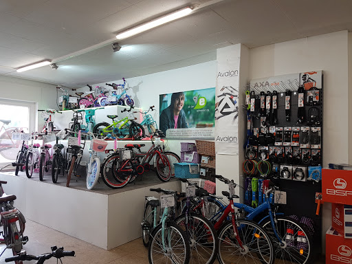 Bicycle shop at the monastery - Thumbnail