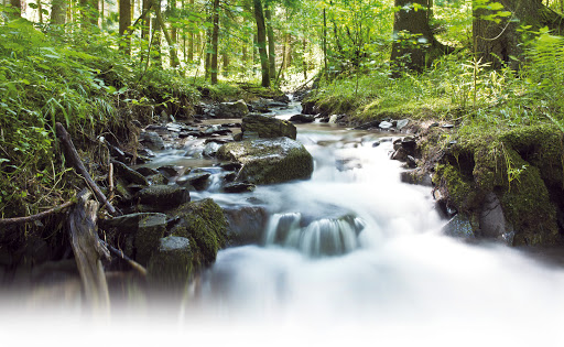 Wellvita Physiotherapie | Wellness | Fußpflege