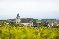 Domaine des Sardelles à Sainte-Gemme-en-Sancerrois