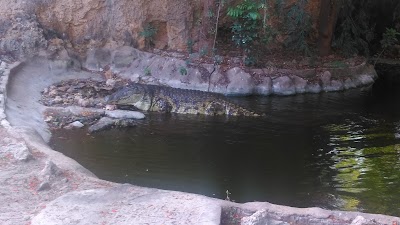 Photos of Wild Waters