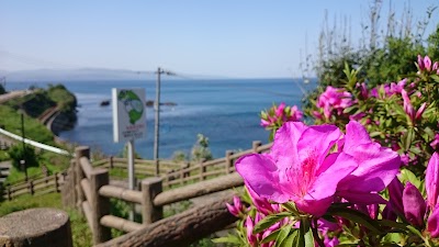 Photos of Hotel Seven Seven Takaoka