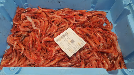 Peixateria Montse Gallery - Spain