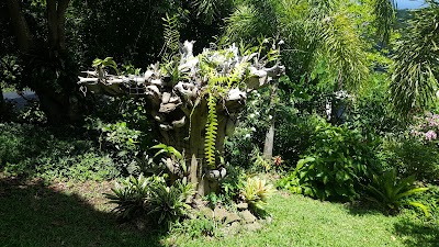 Photos of Palm Tree Gardens
