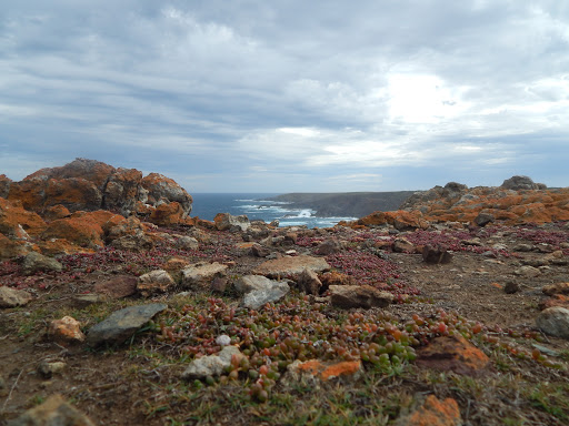 Copper Head Trail / Lookout - Thumbnail