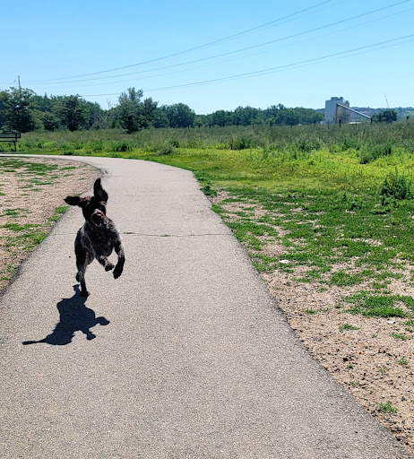 Chatfield Dog Park Parking Gallery - United States