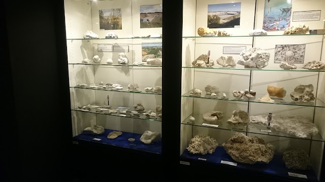 Det sorte Geomuseum