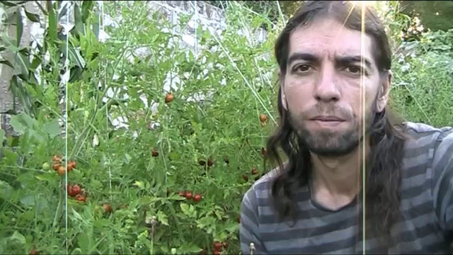 Opiniones de Frutos del país Silvino en Recoleta - Frutería
