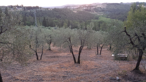 Al Podere Del Viandante - Thumbnail