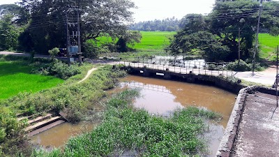 Photos of Arakkiyala Jumma Masjid