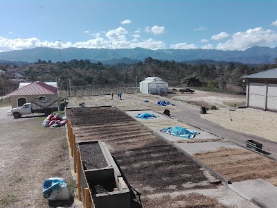 Photos of Beneficio Marquense